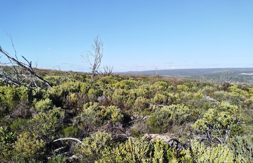 fynbos-wild-rescue
