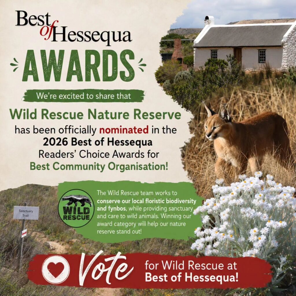 best-of-hessequa