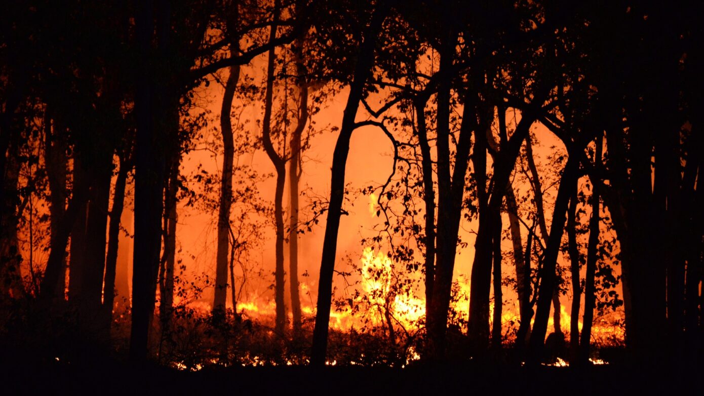 forest-fire-1