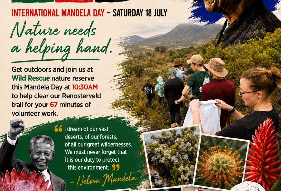 mandela-day-conservation