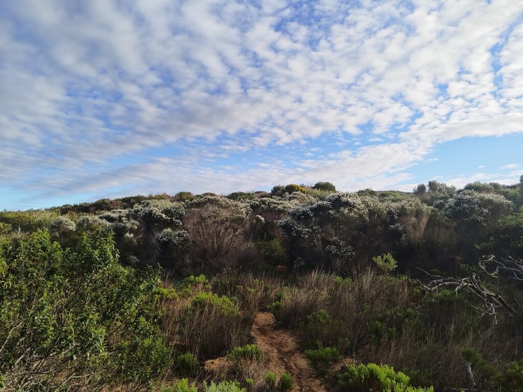 fynbos-bathing