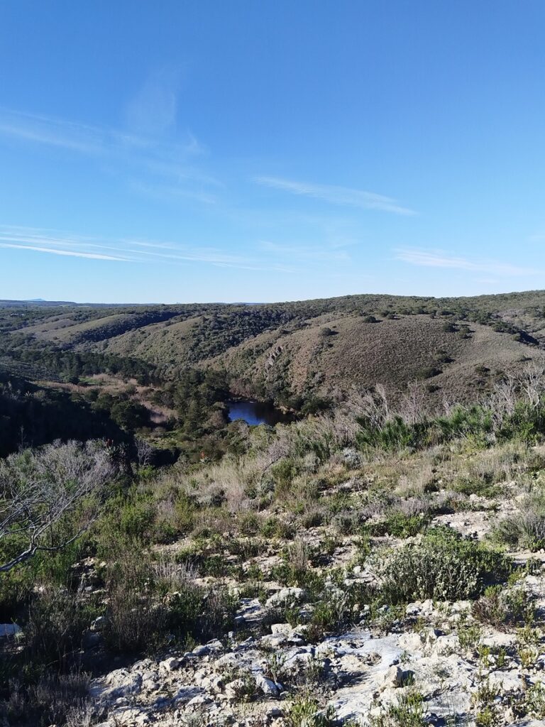 goukou-river