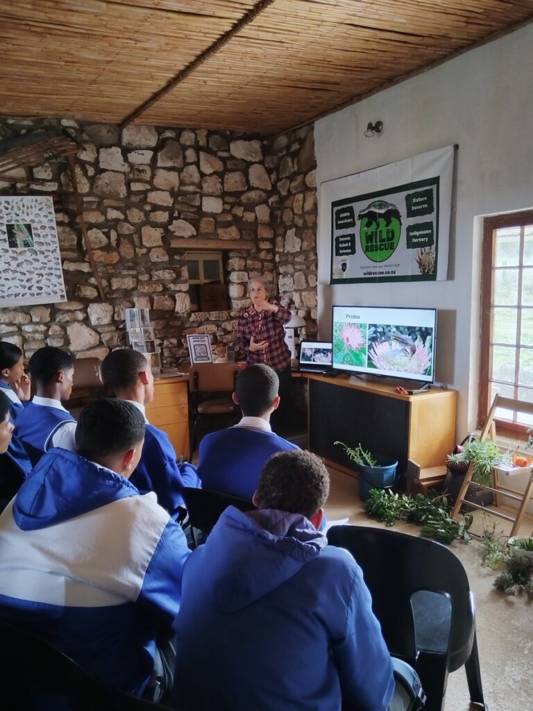 wild-classroom-2